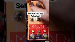 Mood by Chase Bliss Audio with the OBNE side engaged and the Reverb setting selected