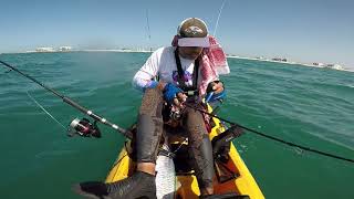 King Fish Livebait Fishing from Kayak