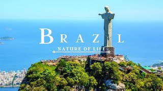 Brazil 4K - Beautiful Tropical country ll Relaxation Music