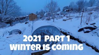 2021 Allotment Part 1 Winter is coming | Allotments For Fun and Food