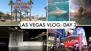 Las Vegas Day 2 - USA road trip vlog day 23 | Sarah-RoseGoes