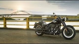 Harley Davidson Softail exhaust sound and fly by compilation