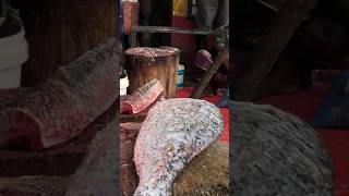 Big catla fish cutting | BD fish cutting  #fish