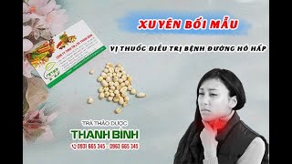 Xuyên Bối Mẫu - Địa chỉ bán xuyên bối mẫu tại TPHCM chất lượng và giá tốt nhất