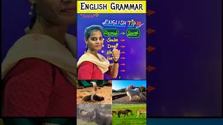 English is easy-10 #englishgrammar #shorts #trending #short #youtube #youtuber #youtubeshorts #yt