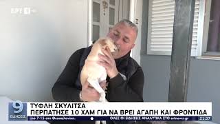 Τυφλή σκυλίτσα περπάτησε 10 χλμ για να ξανασμίξει με τον διασώστη της.