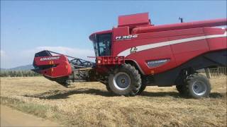 Trebbiatura grano con Laverda M306 e New Holland TX34