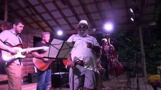 My Bucket's Got a Hole In It cover by the Martha Bassett Band