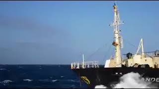 Salvage of Bulk Carrier Life at Sea