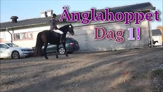 Snappans andra MsvB! - Änglahoppet Dag 1