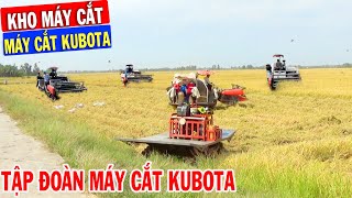 Cảnh Dàn Máy Cắt KUBOTA Chạy Đỗ Ra Đồng Thu Hoạch Mùa Vụ Nhìn Thích Thật | Kho Máy Cắt .