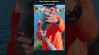 Una buena captura en la pesca #foryou #viral #fishing #pesca #shorts #elsalvador