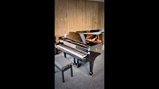 Steinway & Sons - Spirio B211