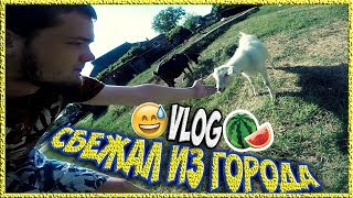 СБЕЖАЛ ИЗ ГОРОДА 🔴 VLOG 10 ▪︎ JackVann SHOW