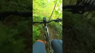 E-Biken in Vorarlberg pt1 #boschebike #mountainbike #downhillmtb