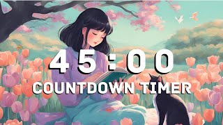 45 Minutes Countdown Timer With Playful Lo-Fi Music and Alarm 🎵⏰