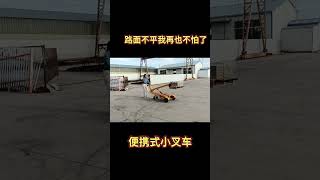 300kg full electric mini forklift