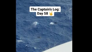 The Captain's Log: Day 58