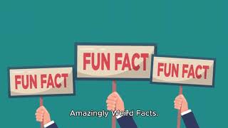 Amazingly Weird Facts You Need to Hear! 🌍🤯