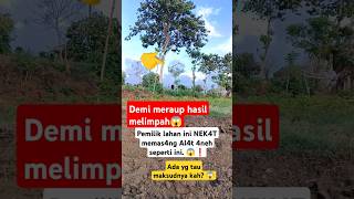 Bend4 4neh untuk meraup h4sil melimp4h 😱❗ #shortvideo  #fypシ゚viral