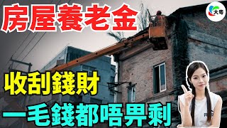 離譜！每平米50元！房屋養老金橫空出世！中國樓市加速崩盤！為收刮平民錢財，不擇手段！網友戲言：我幾年都唔一定體檢一次，而家又先畀屋做全身檢查喇！