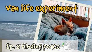 Van life - Ep 8 finding peace 🕊️