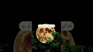 عالم اسلام کو ربیع الاوّل شریف کا چاند 🌙 مبارک ہو 💫. #shorts