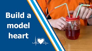 How to make a model heart