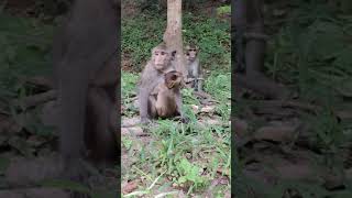 Cute baby Elpida and Alberto having food