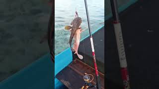 UltraLight Fishing New Spot Maluku Tengah Saaru Pia | Doubel Strike