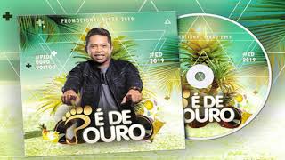 PÉ DE OURO ( CD VERÃO 2019 ) DJ MAYCON DE FORTALEZA