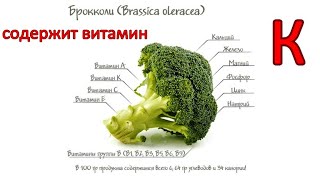 Брокколи содержит витамин К (К1) суточную НОРМУ: 210 мкг  (0,21 мг) в 100 г ПРОДУКТА / Фролов Ю.А.