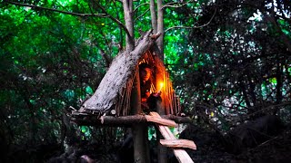 Building a Warm and Cozy Shelter on the tree | Bushcraft tree house, Survival shelter