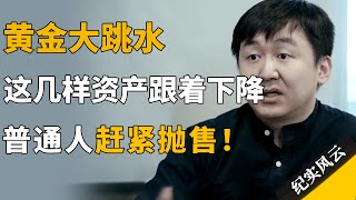 黄金大跳水，触发这几样资产连锁下降，普通人赶紧抛售！#纪实风云 #纪录片 #王小川 #许知远