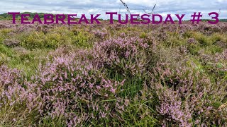 Teabreak Tuesday # 3