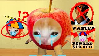 Sad Apple Cat Wants Me To Find Baby Apple Cat And Kill Obung Family