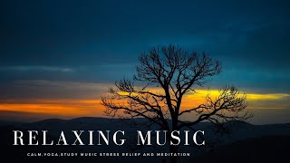 Relaxing Music : Calm ,Yoga , Study music Stress Relief and Meditation