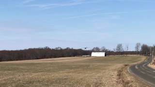 Plane Landing at Good Hill Farm, Roxbury CT