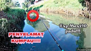 haruan Sungai Tiram | Strike Curut Curut |