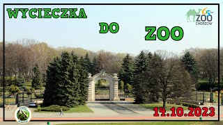 Wycieczka do ZOO Chorzów 14.10.2023