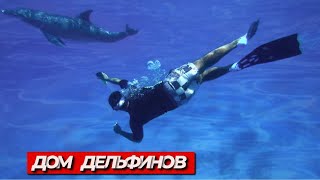 ЕГИПЕТ2021// ДОМ ДЕЛЬФИНОВ 🐬 Экскурсия за 20$ на весь день