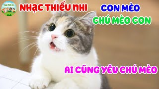 Nhạc Thiếu Nhi | Chú mèo con Ai cũng yêu chú mèo | Meo meo meo | Nhạc thiếu nhi quen thuộc con vật