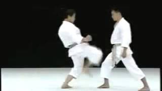 Karate Mae Geri Keage training kihon katas video-aula