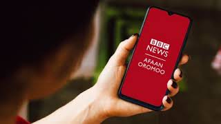 Oduu BBC Afaan Oromoo Galgala Kana