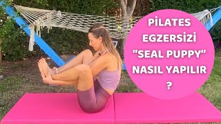 PİLATES MAT EGZERSİZİ ''SEAL PUPPY'' NASIL YAPILIR? | Pilates Eğitimi Başlangıç Uygulamaları