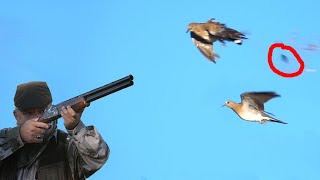 Dove Hunting Üveyik Avı 2020/21