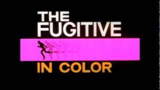 "The Fugitive: The Fourth and Final Season"- Finding the One Armed Man