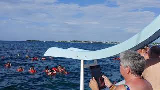 Snorkeling off a catamaran, Negril, Jamaica, 11-14-18