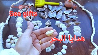 هدايا البحر لافكار ديكور amazing sea shells for handmade art #diy #handcraft #sea gifts