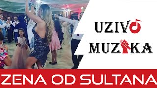 Tea Tairovic - Zena od sultana (uzivo)